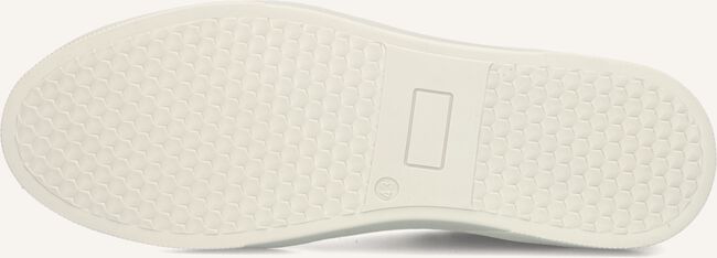 Beige MAZZELTOV Lage sneakers DUBLIN Beige MAZZELTOV Lage sneakers DUBLIN - large