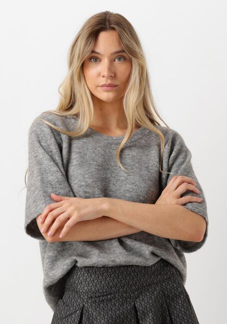 Grijze COPENHAGEN MUSE Trui CMIBRA-RAGLAN PULLOVER - large