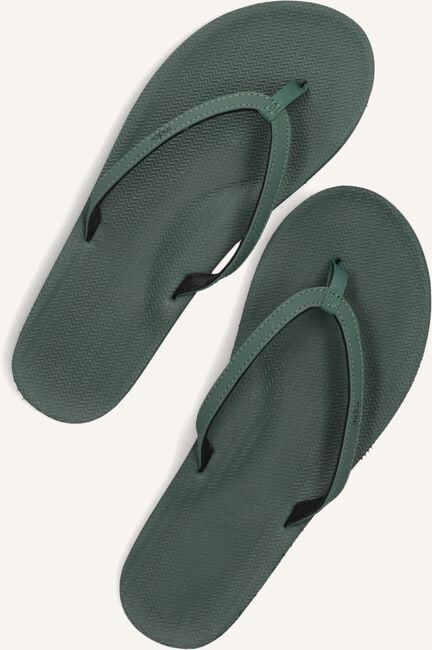 Groene INDOSOLE Teenslippers ESSENTIAL FLIP FLOP Groene INDOSOLE Teenslippers ESSENTIAL FLIP FLOP - large