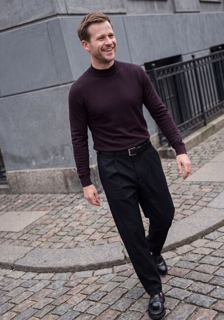 Bordeaux STEFANO LAURAN Trui TURTLE NECK MERINO - large