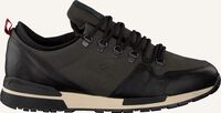 Grijze NZA NEW ZEALAND AUCKLAND Lage sneakers CHEVIOT - medium