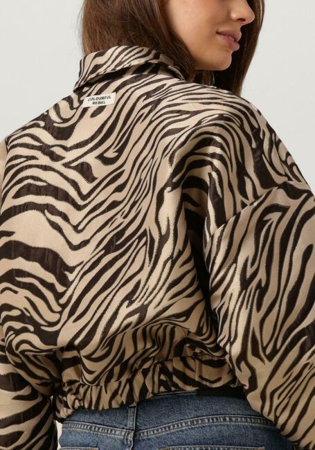Gebroken wit COLOURFUL REBEL Jack BENTE ZEBRA JACQUARD BOMBER JACKET - large