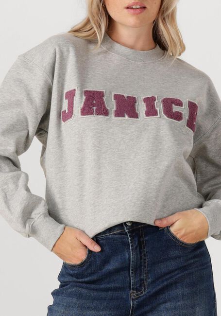 Grijze JANICE Sweater ANDY - large