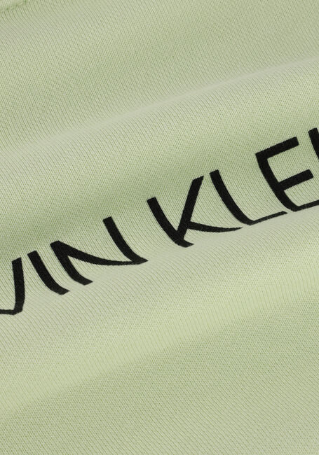 Groene CALVIN KLEIN Trui INSTITUTIONAL LOGO SWEATSHIRT - large