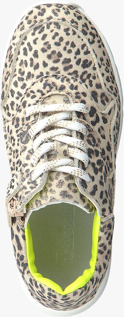 Beige PINOCCHIO Lage sneakers P1253 - large