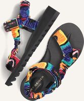 Multi KURT GEIGER LONDON Sandalen ORION Multi KURT GEIGER LONDON Sandalen ORION - medium