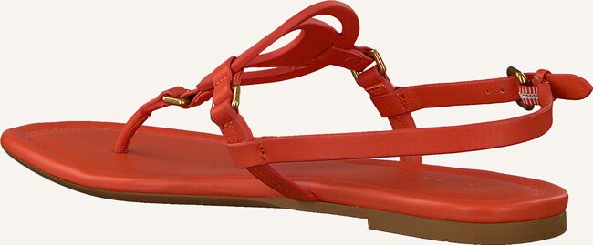 Oranje COACH Sandalen JERI LEATHER SANDAL Oranje COACH Sandalen JERI LEATHER SANDAL - large