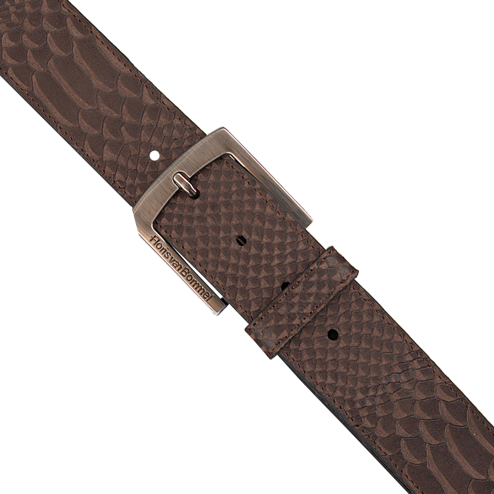 Bruine FLORIS VAN BOMMEL Riem 75166 | Omoda