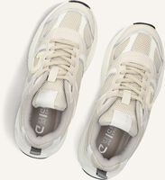 Beige CRUYFF JUNIOR Lage sneakers MARTI Beige CRUYFF JUNIOR Lage sneakers MARTI - medium