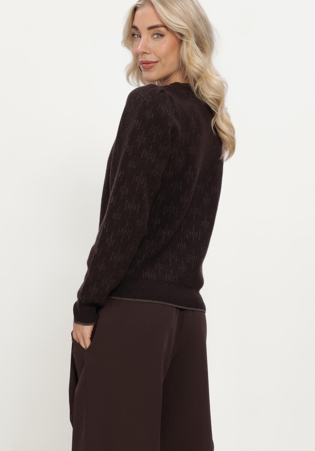 BRUUNS BAZAAR Dames Truien & Vesten Chalinabbelesa Knit Bruin