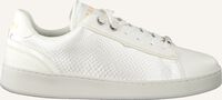 Witte CRUYFF Lage sneakers CHALLENGE - medium