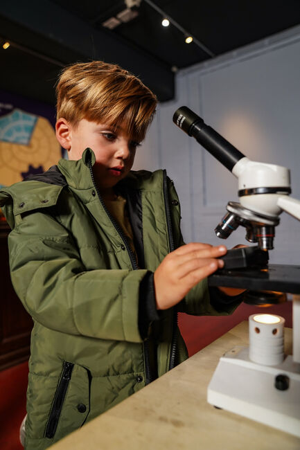 Olijf KOKO NOKO Gewatteerde jas O56824 - large