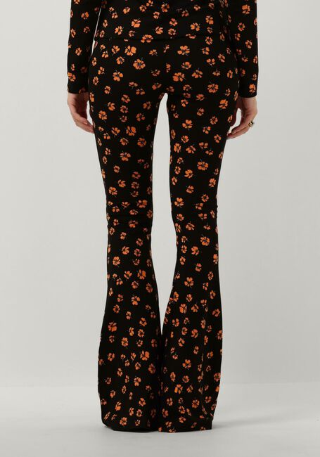 Oranje CATWALK JUNKIE Flared broek TR TANGERINE - large