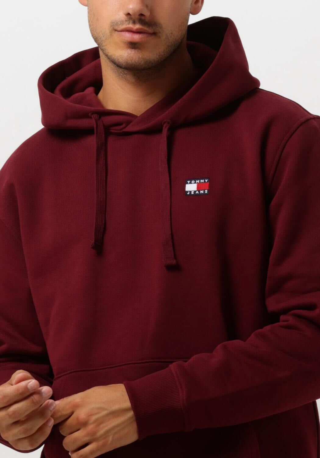 TOMMY JEANS Heren Truien & Vesten Tjm Reg Badge Hoodie Ext Paars
