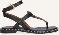 Zwarte MARUTI Platte sandalen AZIZA - medium