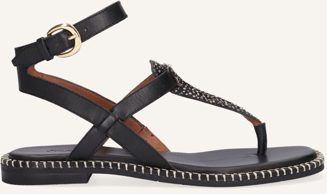 Zwarte MARUTI Platte sandalen AZIZA Zwarte MARUTI Platte sandalen AZIZA - large
