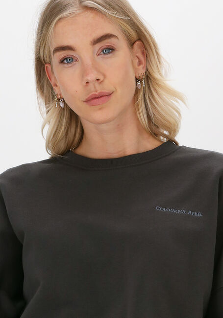 Grijze COLOURFUL REBEL Sweater UNI DROPPED SHOULDER SWEAT - large