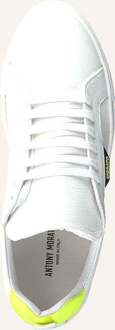 Witte ANTONY MORATO Lage sneakers MMFW01247 Witte ANTONY MORATO Lage sneakers MMFW01247 - large