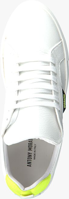 Witte ANTONY MORATO Lage sneakers MMFW01247 - large
