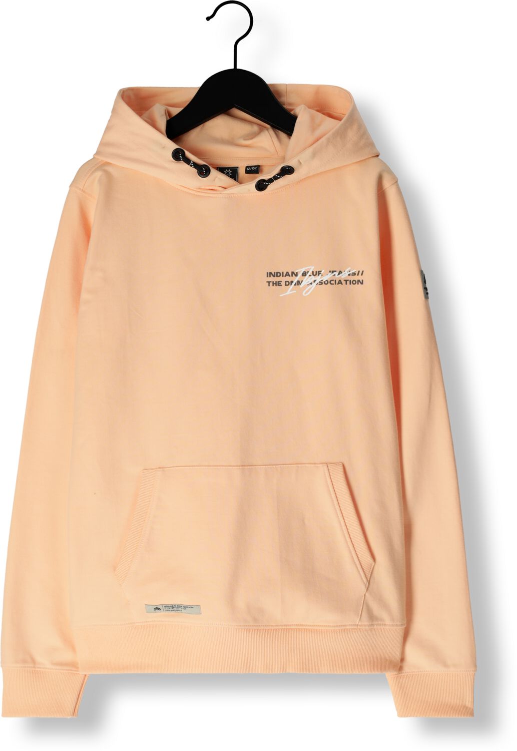 INDIAN BLUE JEANS Jongens Truien & Vesten Hoodie Print Oranje