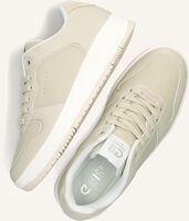 CRUYFF INDOOR ROYAL DAMES CRUYFF INDOOR ROYAL DAMES - medium