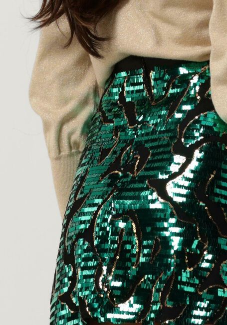 Groene SILVIAN HEACH Minirok MINIGONNA / MINISKIRT - large