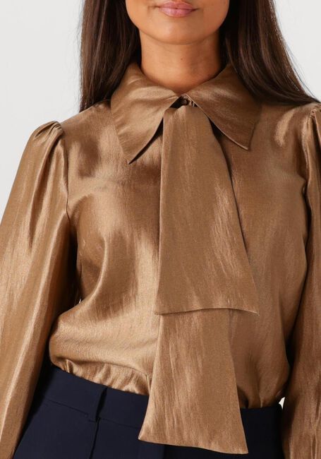 Bruine AAIKO Blouses VERONNE TIE SHIMM RAY 517 2 - large