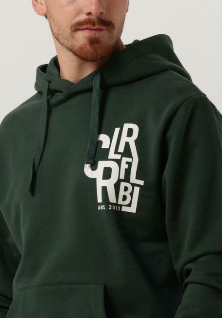 Donkergroene COLOURFUL REBEL Sweater CLRFL RBL AMS. 2013 HOODIE - large