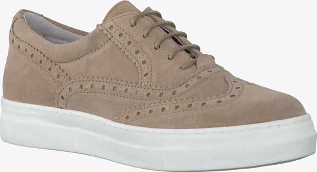 Taupe ROBERTO D'ANGELO Sneakers VIBORA  - large