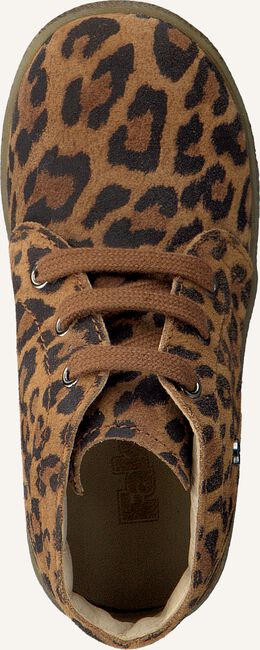 Cognac FALCOTTO Lage sneakers CONTE Cognac FALCOTTO Lage sneakers CONTE - large