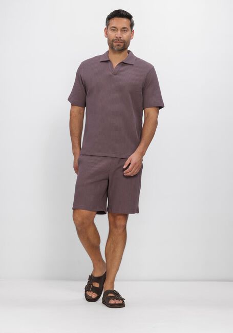 Paarse DSTREZZED Polo MAYSON POLO - large