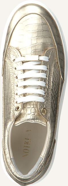 Gouden NOTRE-V Lage sneakers 2000\03 Gouden NOTRE-V Lage sneakers 2000\03 - large