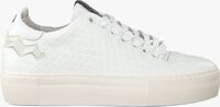 Witte FLORIS VAN BOMMEL Sneakers 85234 - medium