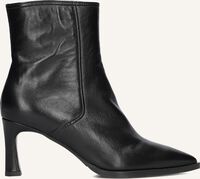 LINA LOCCHI AV 136 LIS - medium