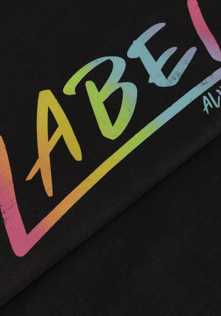 Grijze ALIX THE LABEL T-shirt LADIES KNITTED WASHED LABEL T-SHIRT Grijze ALIX THE LABEL T-shirt LADIES KNITTED WASHED LABEL T-SHIRT - large