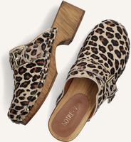 Bruine NOTRE-V Clogs 7743 Bruine NOTRE-V Clogs 7743 - medium