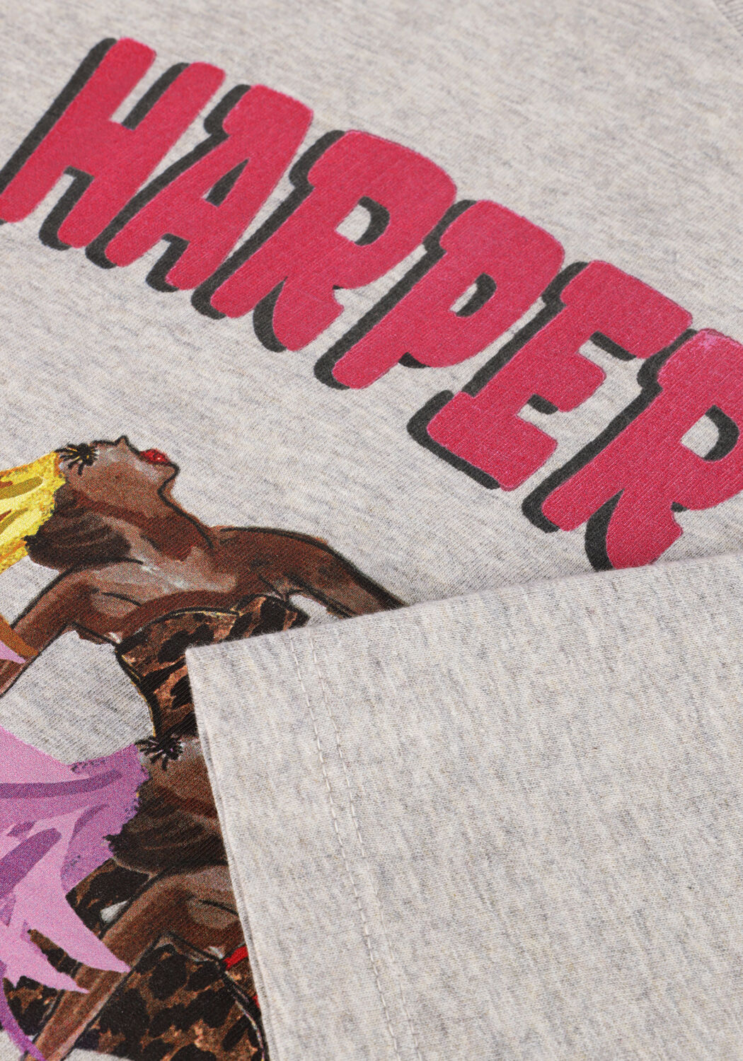 Grijze HARPER & YVE T-shirt EXTRAORDINARY-SS - large