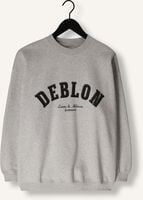 Grijze DEBLON SPORTS Sweater PUCK SWEATER Grijze DEBLON SPORTS Sweater PUCK SWEATER - medium