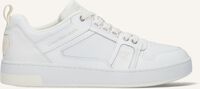 Witte CALVIN KLEIN Lage sneakers BASKET CUPSOLE R INSERT - medium