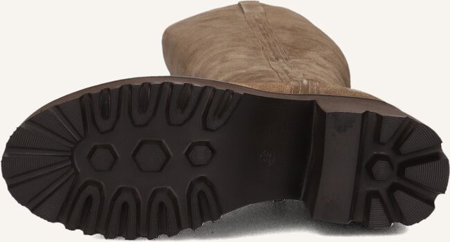 Taupe BLASZ Hoge laarzen EVS-5014 Taupe BLASZ Hoge laarzen EVS-5014 - large