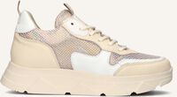 Beige STEVE MADDEN Lage sneakers PITTY Beige STEVE MADDEN Lage sneakers PITTY - medium