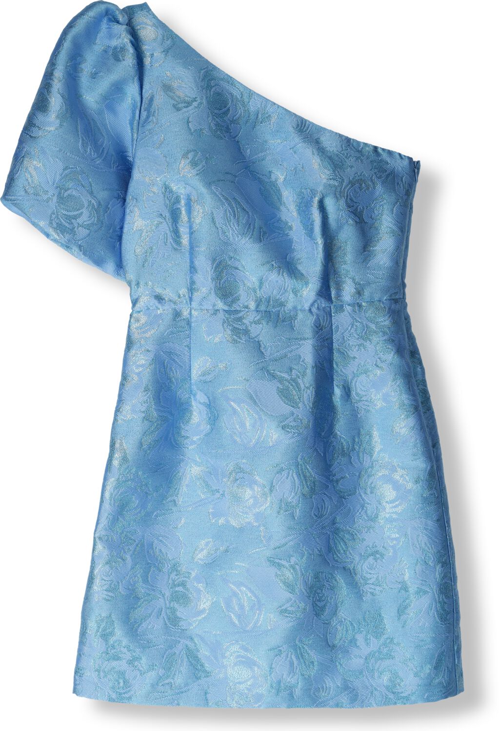 FREEBIRD Dames Jurken Dania Mini Blauw