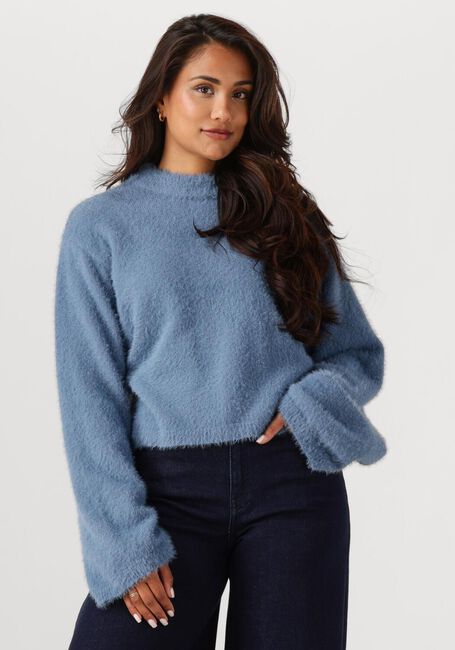 Lichtblauwe ANOTHER LABEL Trui AMAYA KNITTED PULL L/S - large