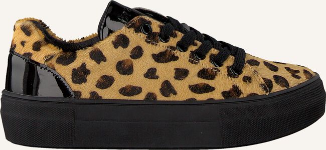 Beige BRAQEEZ Lage sneakers DEMI DREAM Beige BRAQEEZ Lage sneakers DEMI DREAM - large