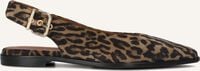 Bruine BILLI BI Slingbacks A8301 Bruine BILLI BI Slingbacks A8301 - medium