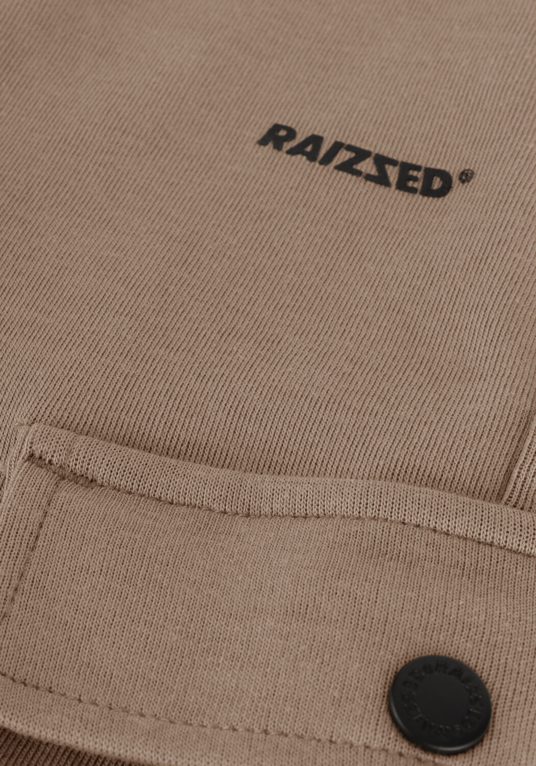 Bruine RAIZZED Cargobroeken SUMTER - large