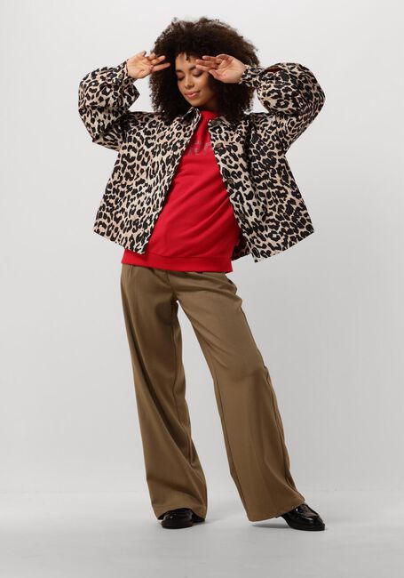 Bruine HARPER & YVE Jack RYLEE-CO - large