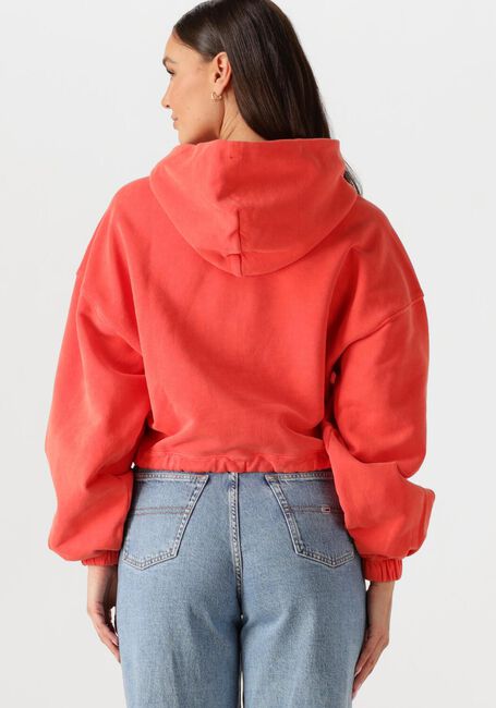 Rode TOMMY JEANS Sweater TJW CRP GMD SCRIPT HOODIE - large