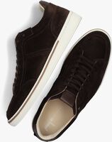 Bruine VAN BOMMEL Lage sneakers SBM-10019 - medium