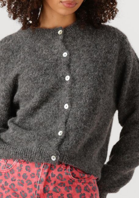 Grijze BY-BAR Trui CLEO NATURAL CARDIGAN - large